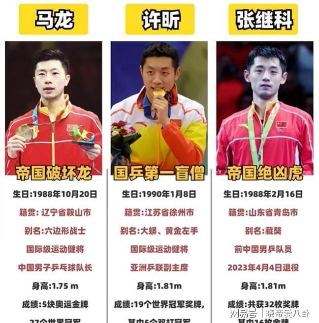 法国队绝杀奥地利队,张继科带队取胜 法国队绝杀奥地利队,张继科带队取胜