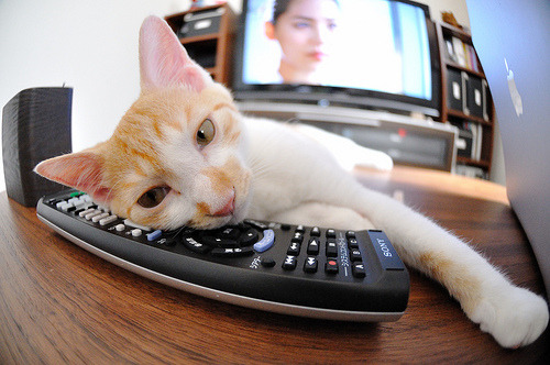 战术僵局，当NBA季后赛遇见地缘博弈