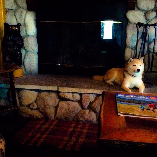 马克西末节19分主宰比赛 活塞客场终结尼克斯连胜