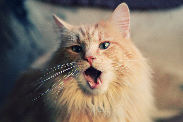 熔岩喷发前最后一克压力，当英格拉姆撕碎时间表盘