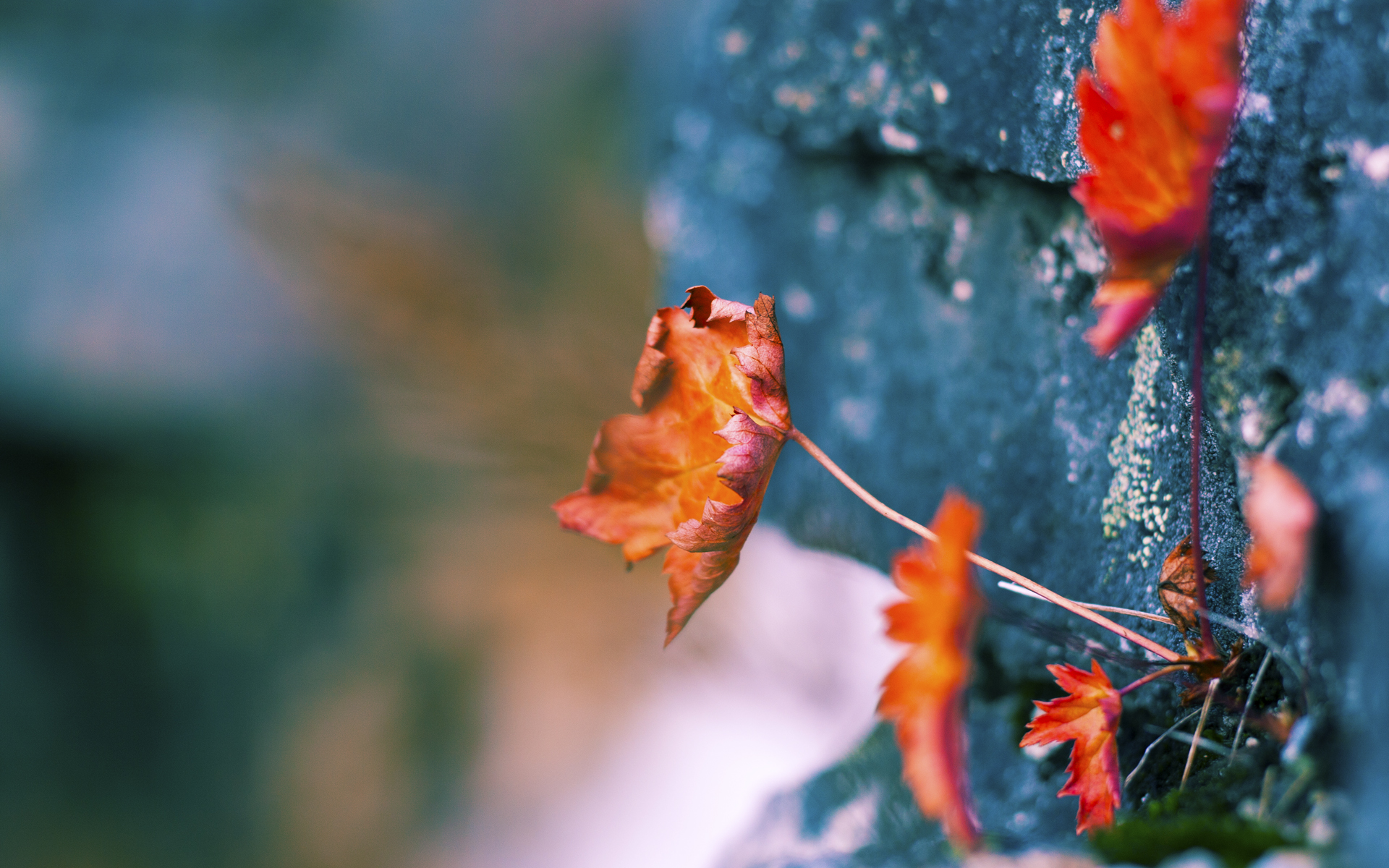 从梅奔维修区到诺坎普草坪,为什么奥亚尔萨瓦尔才是这个赛季的真正杆位得主?