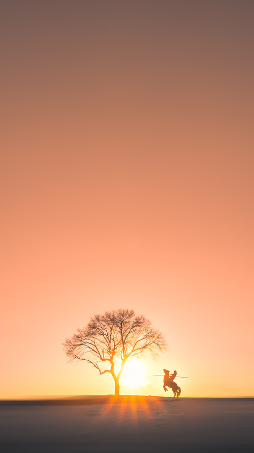 迪巴拉，从遗珠到唯一密钥