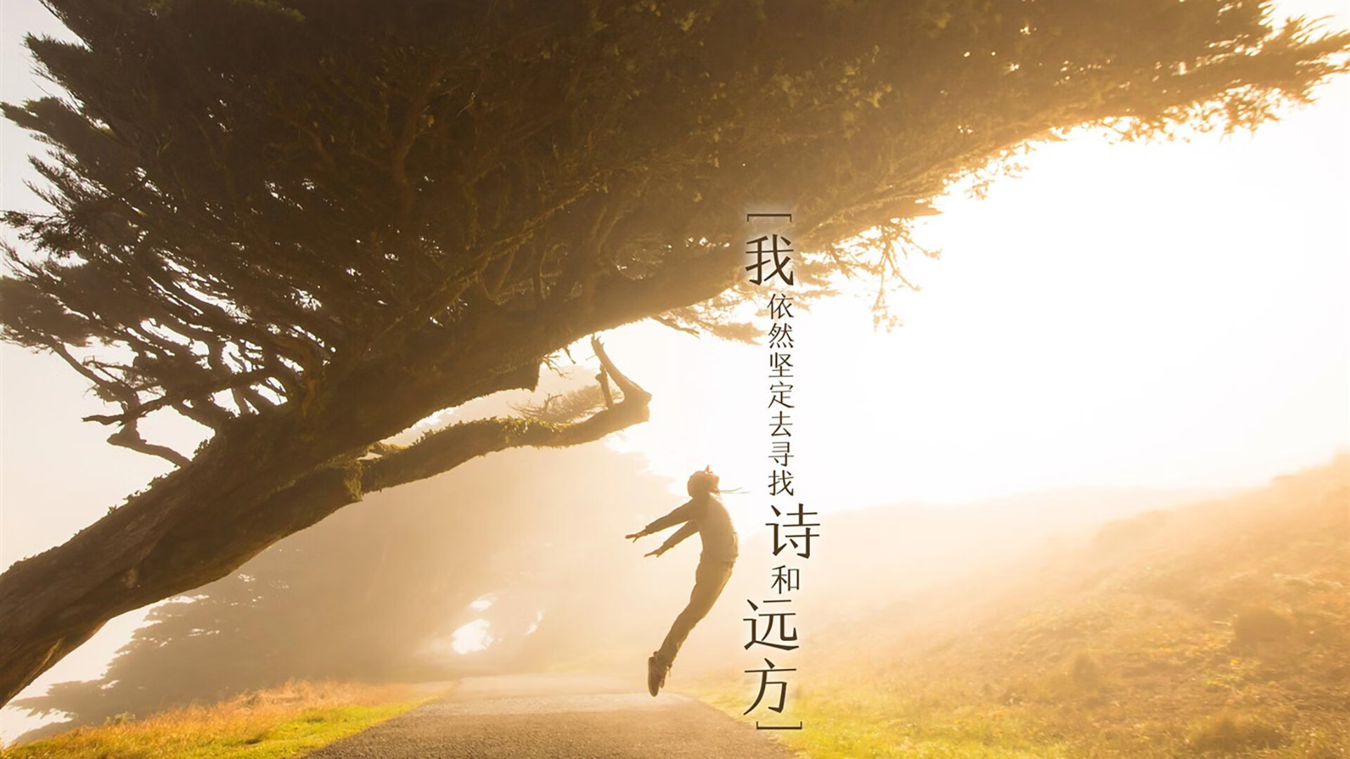 控场之王点亮高原，保罗决胜时刻导演掘金压制独行侠连续得分浪潮