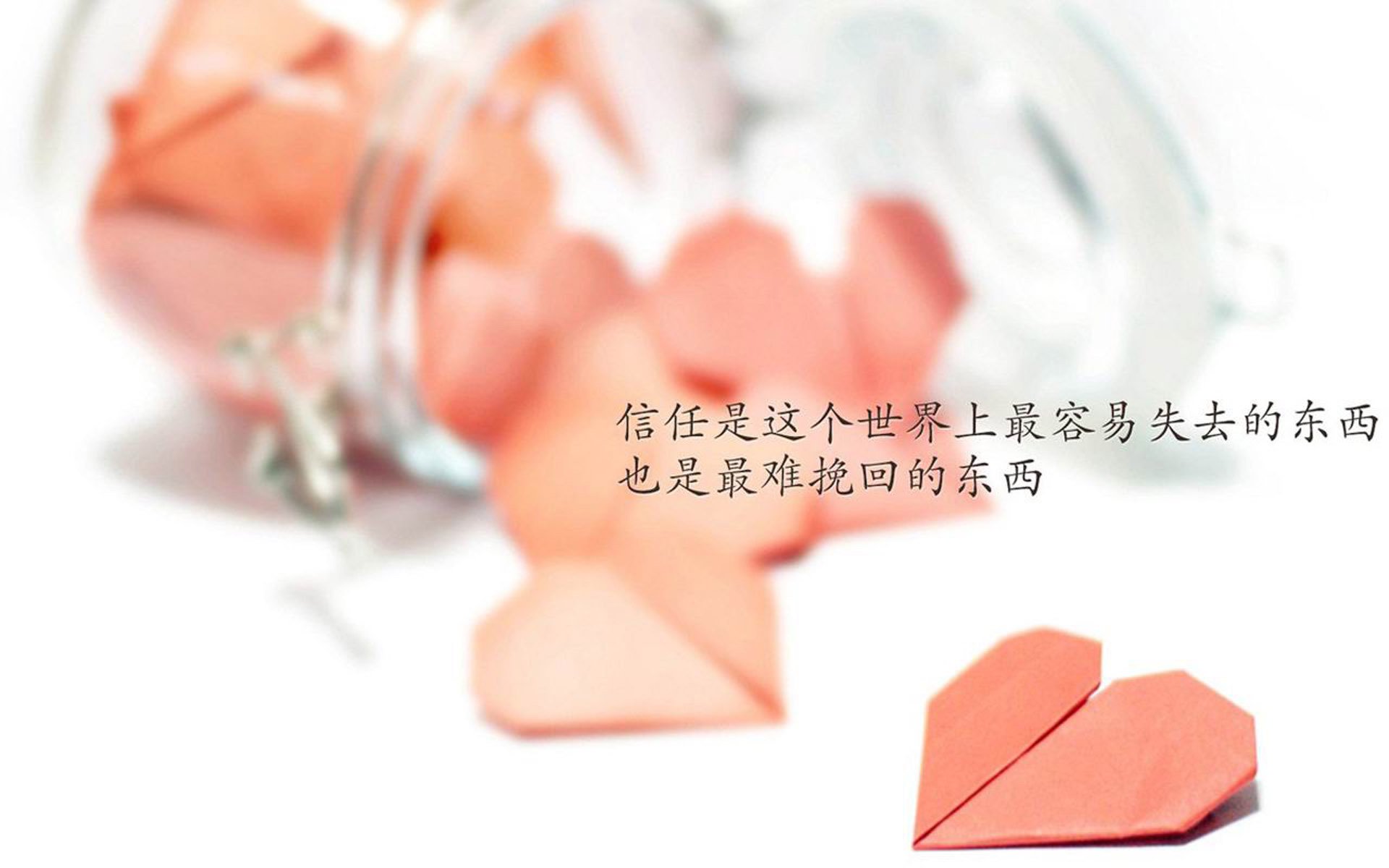 命运的交织与绝境重生,2026世界杯B组,穆西亚拉如何以一人之力,改写加纳与葡萄牙的宿命剧本