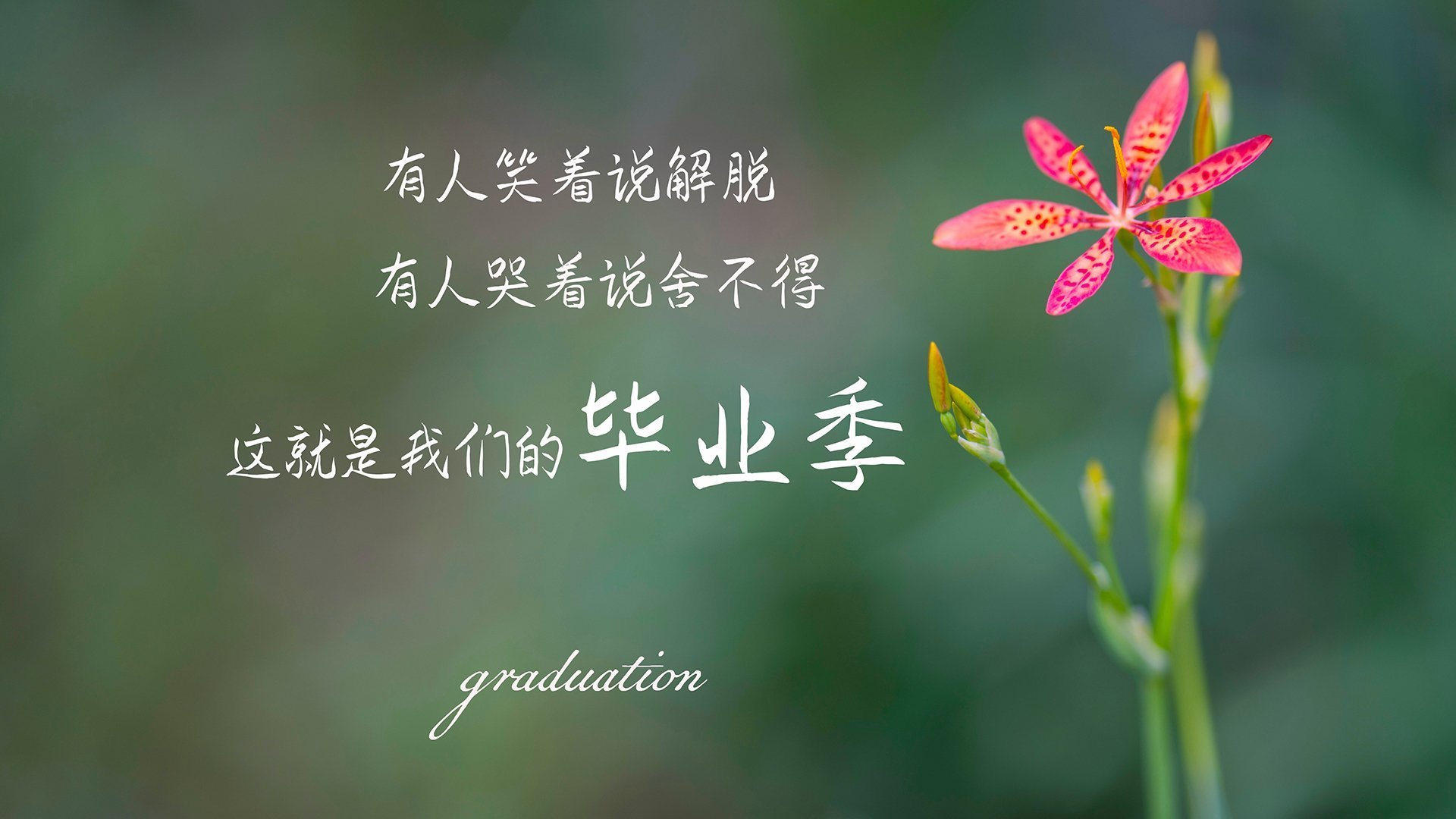 北欧神话燃爆北美，贝林厄姆化身冰火战神，瑞典铁骑碾压墨西哥，门神铸就叹息之墙